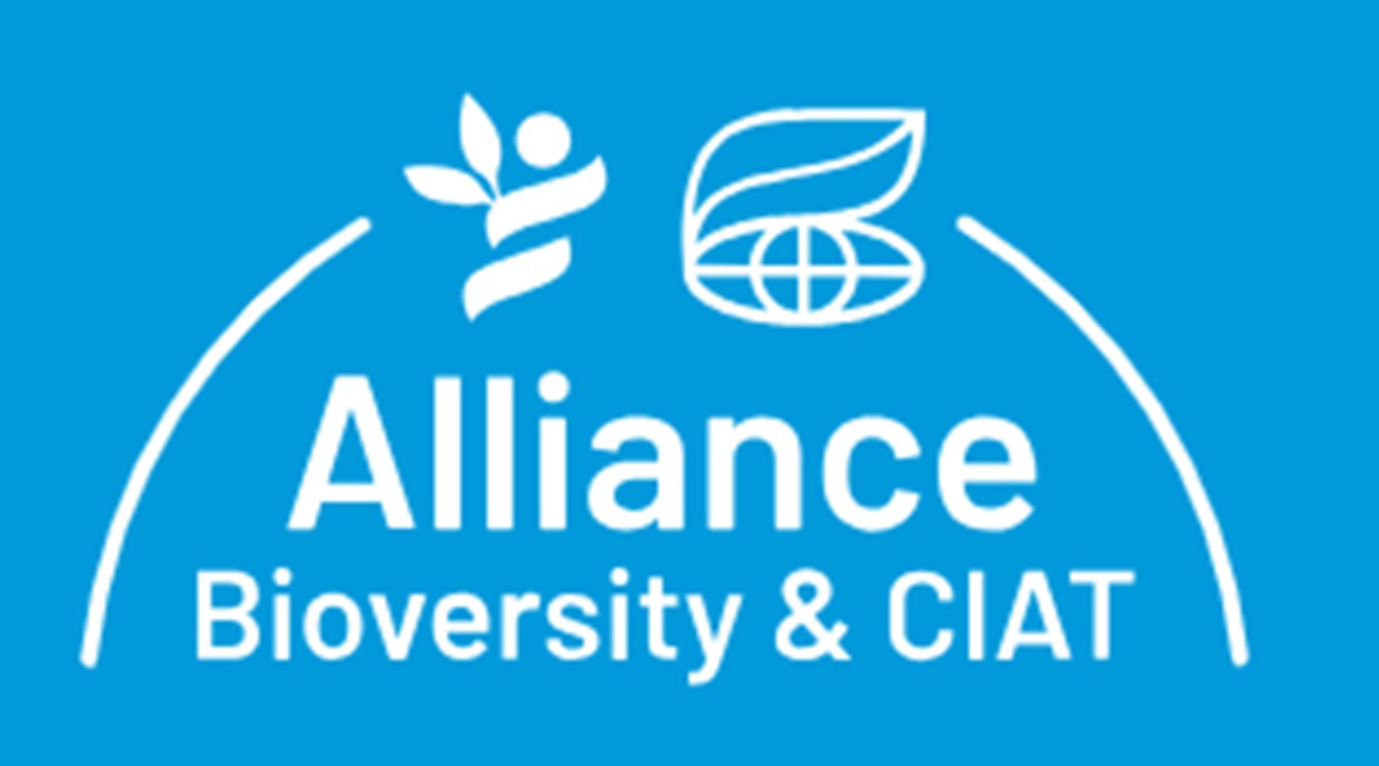 Alliance Bioversity & CIAT
